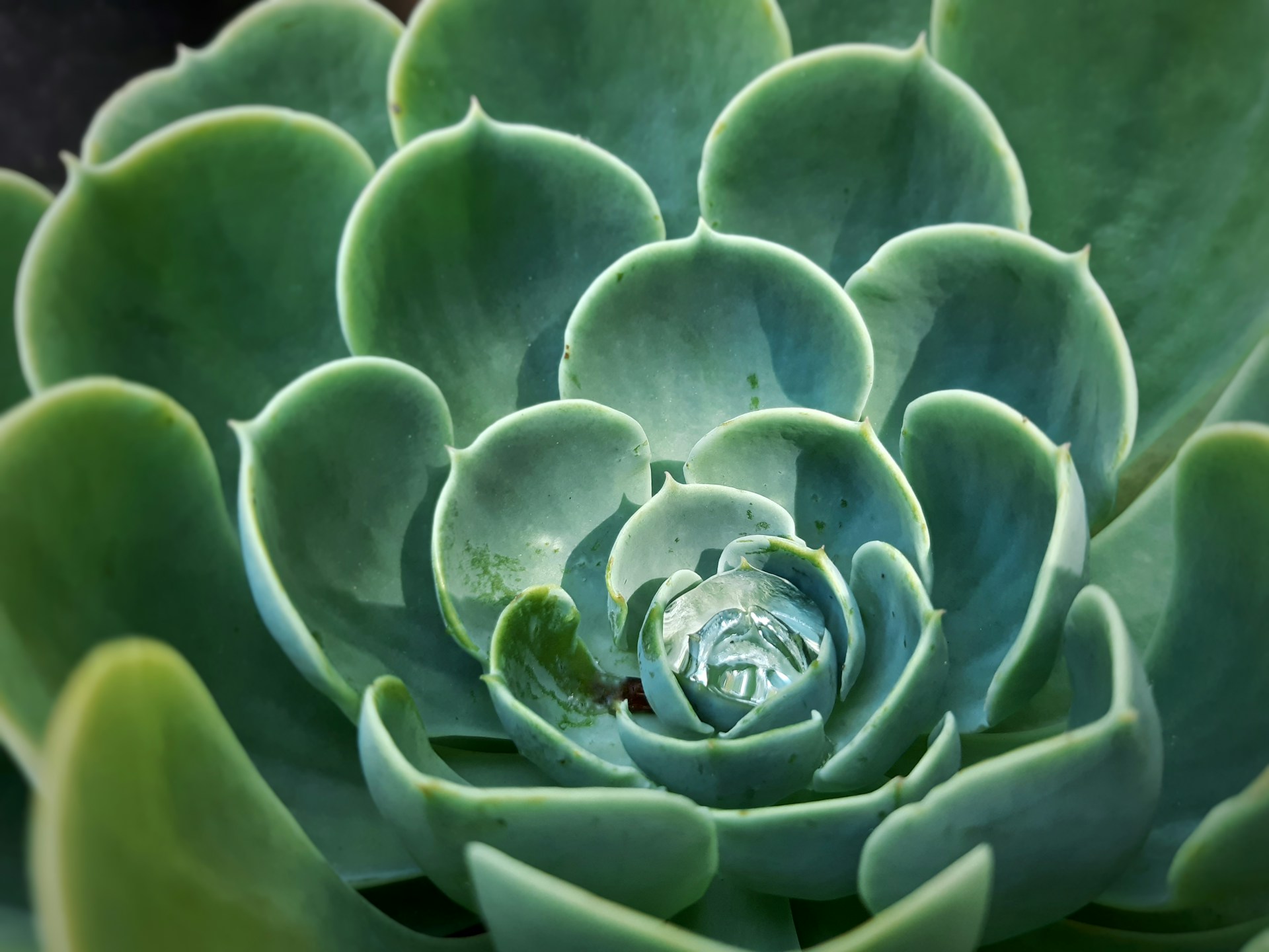 erick balderas qyxp2jcfuvo unsplash