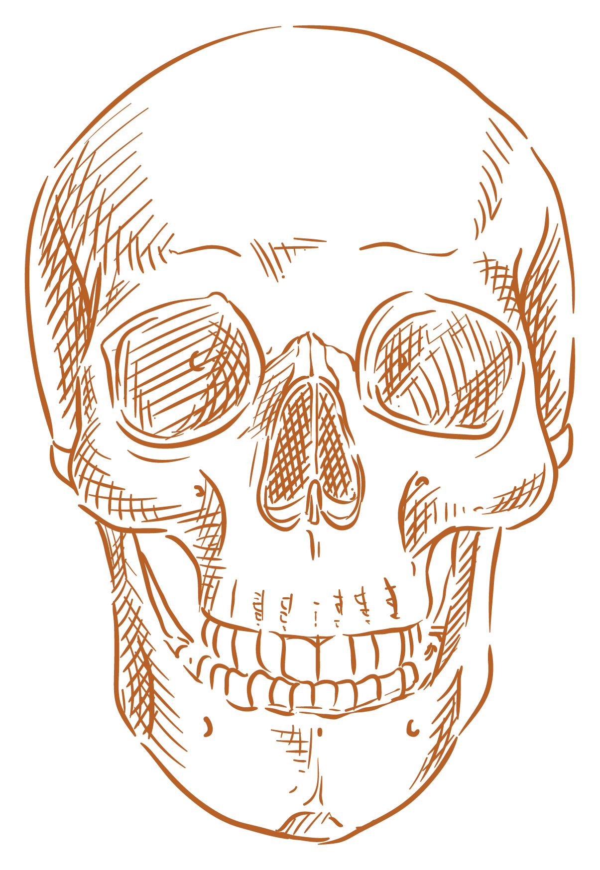 skull
